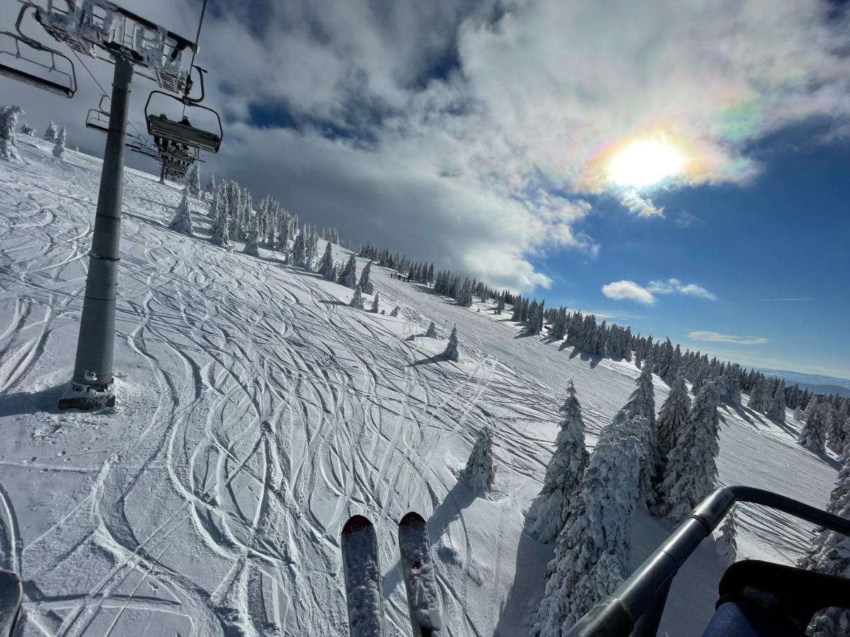 Pano Kopaonik Panorama公寓 外观 照片